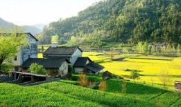 爆料乡村风景视频的小说,揭秘乡村风景视频背后的故事