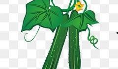 吃瓜素材视频大全下载免费,免费下载，一网打尽！