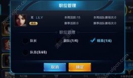 王者爆料青鸟视频下载,王者爆料视频深度解析