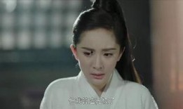 扶摇在线观看39,揭秘扶摇与长孙无极的生死抉择！